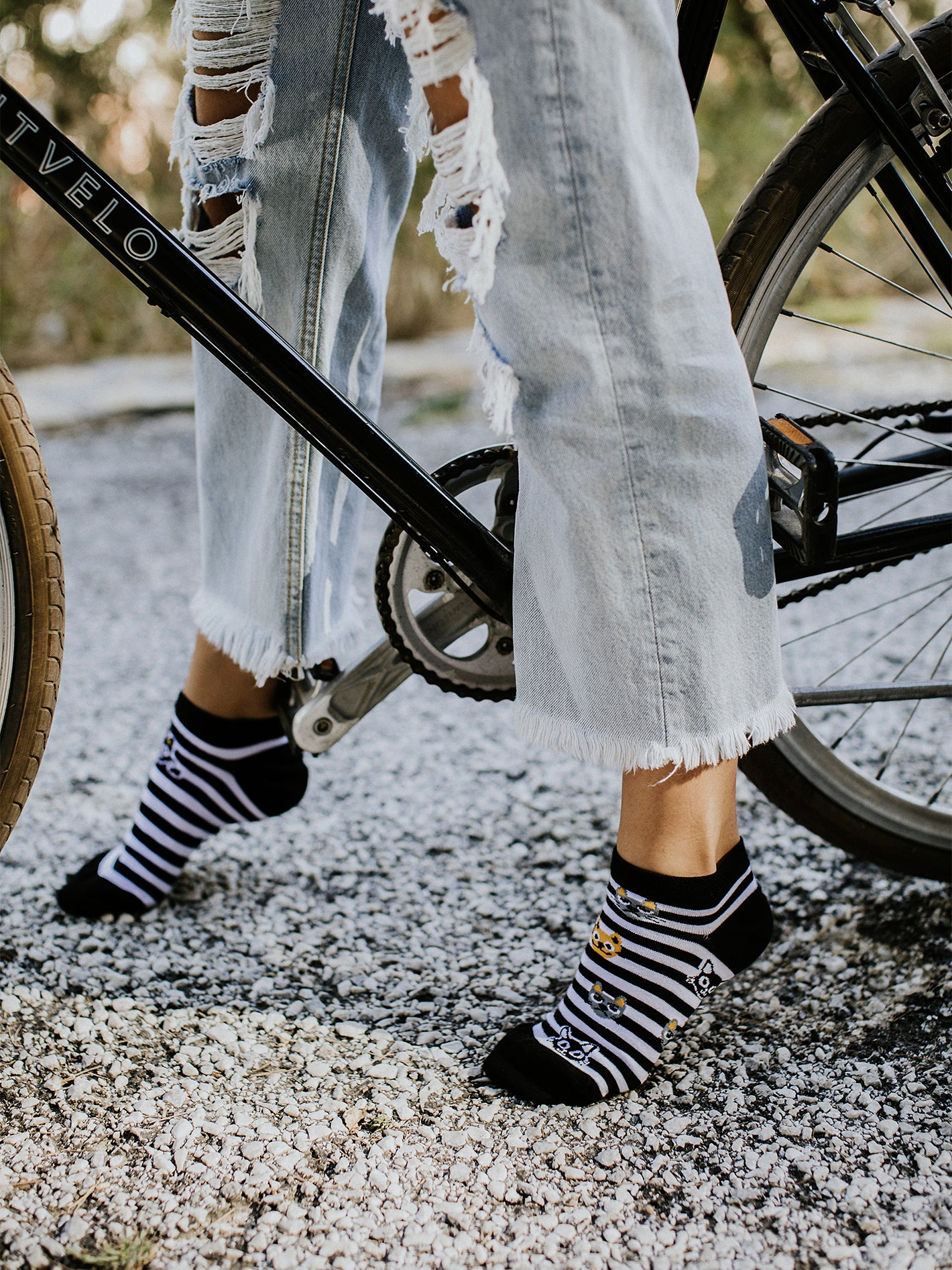 Ankle Socks Cats & Stripes