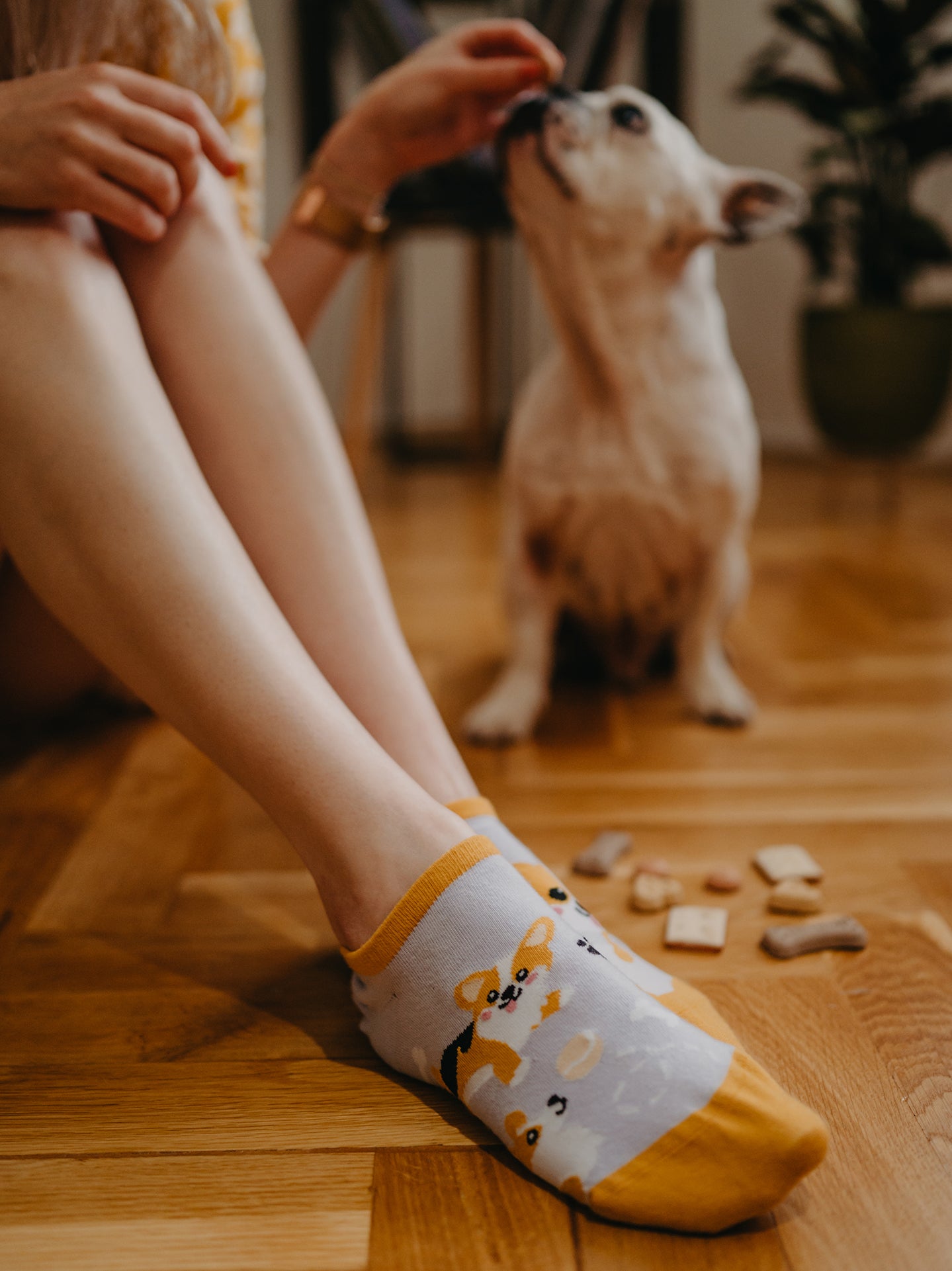 Sneaker Socks Corgi Dog