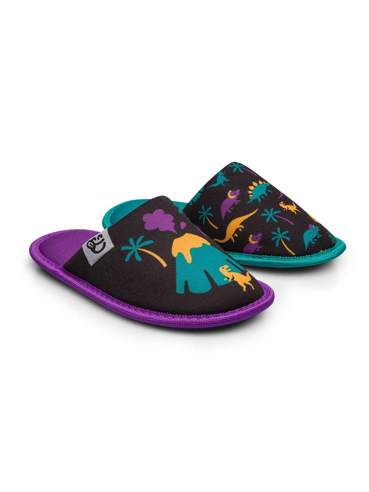 Kids' Slippers Dinos & Volcanos