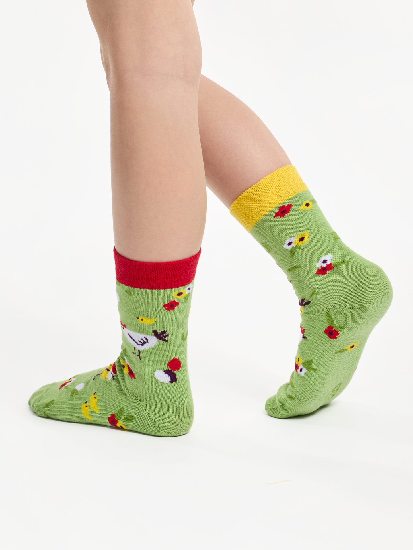 Kids' Socks Hens & Chicks