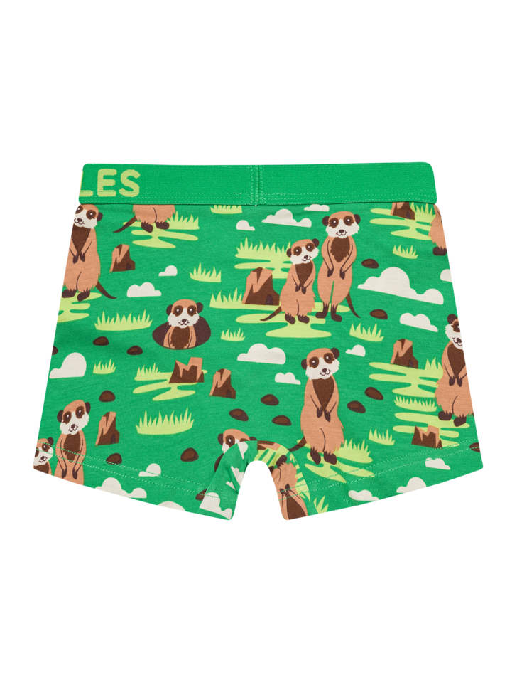 Boys' Boxers Meerkats