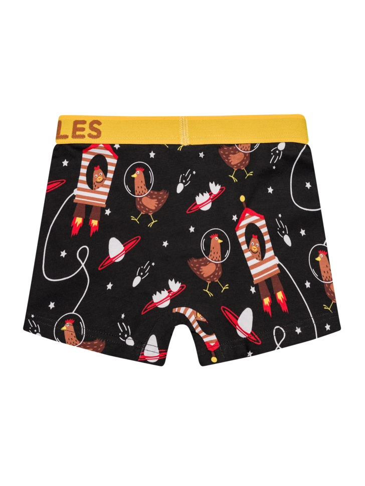 Boys' Boxers Hen Astronaut