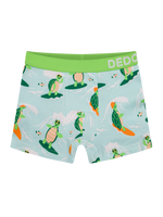 Boys' Boxers Turtle the Surfer