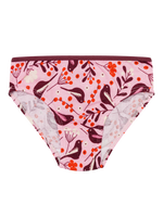 Girls' Briefs Birds & Berries