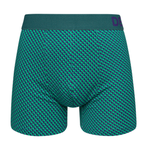 Blue & Green Men's Patterned Trunks