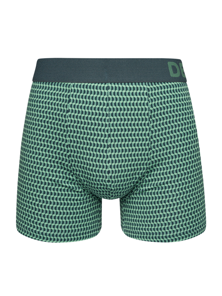 Pastel Green Men's Patterned Trunks