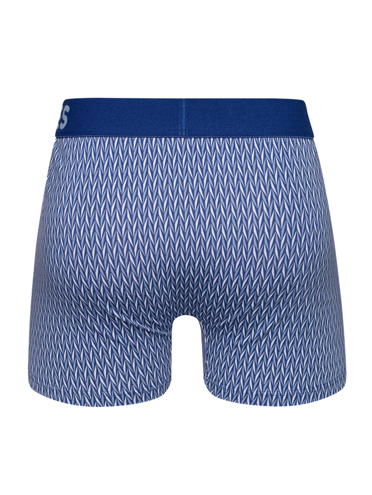 Blue & Grey Men's Patterned Trunks