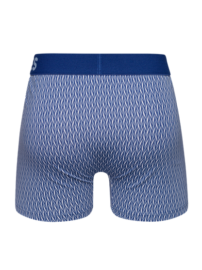 Blue & Grey Men's Patterned Trunks