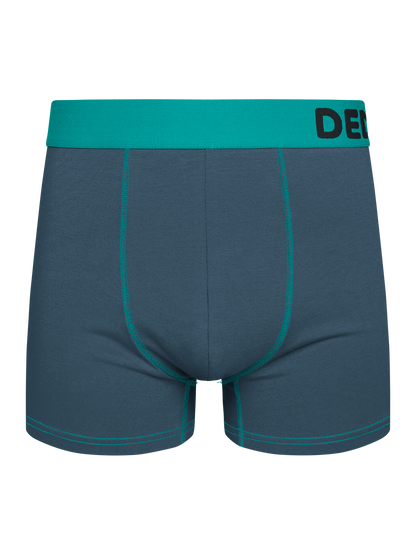 Grey & Turquoise Men's Trunks