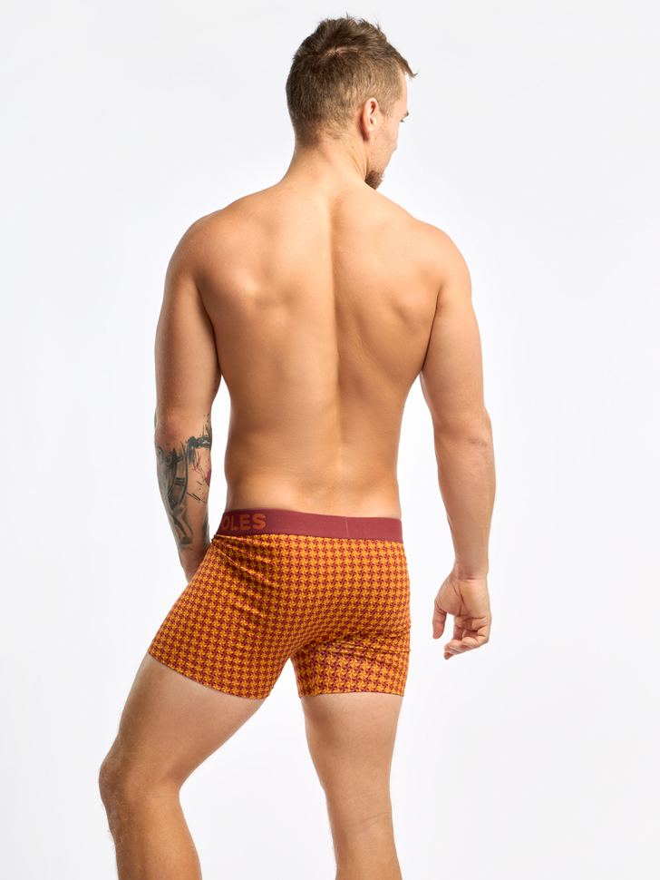 Burgundy & Yellow Men's Patterned Trunks