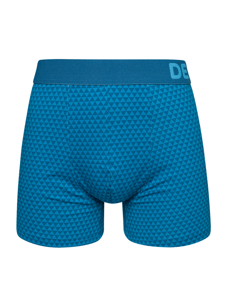 Emerald Blue Men's Patterned Trunks