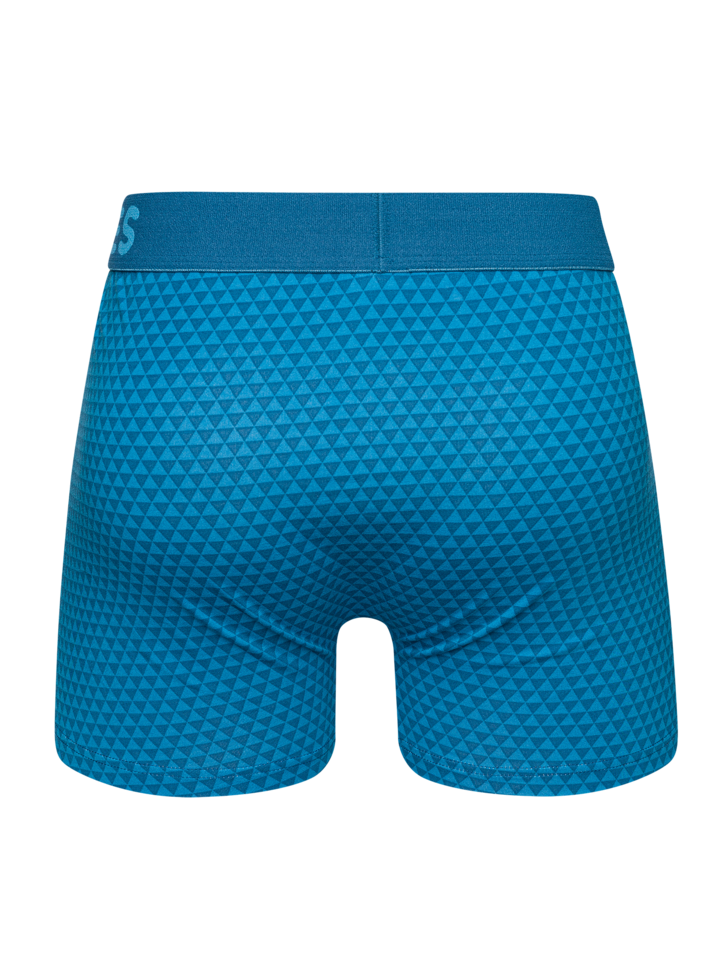 Emerald Blue Men's Patterned Trunks