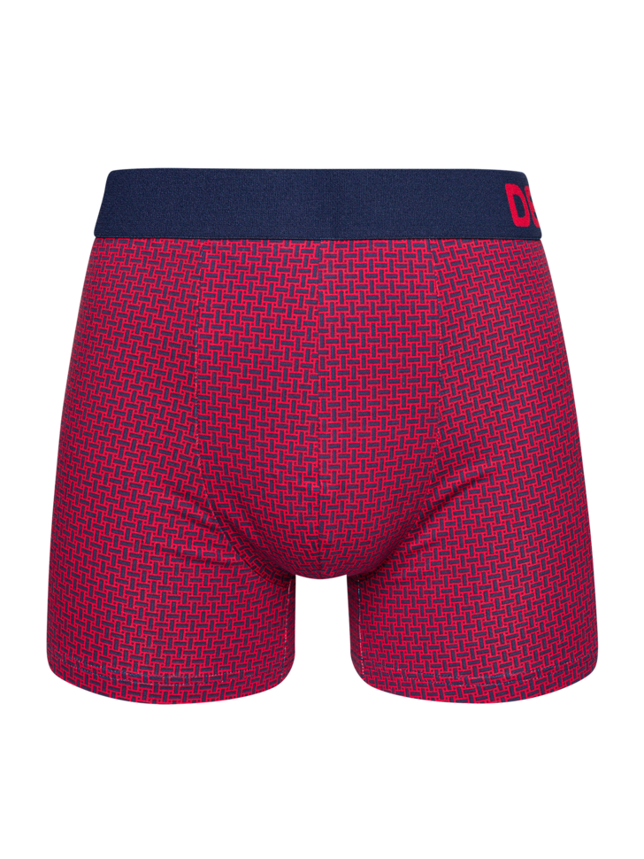 Blue & Red Men's Patterned Trunks