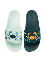 Slides Sea Crab