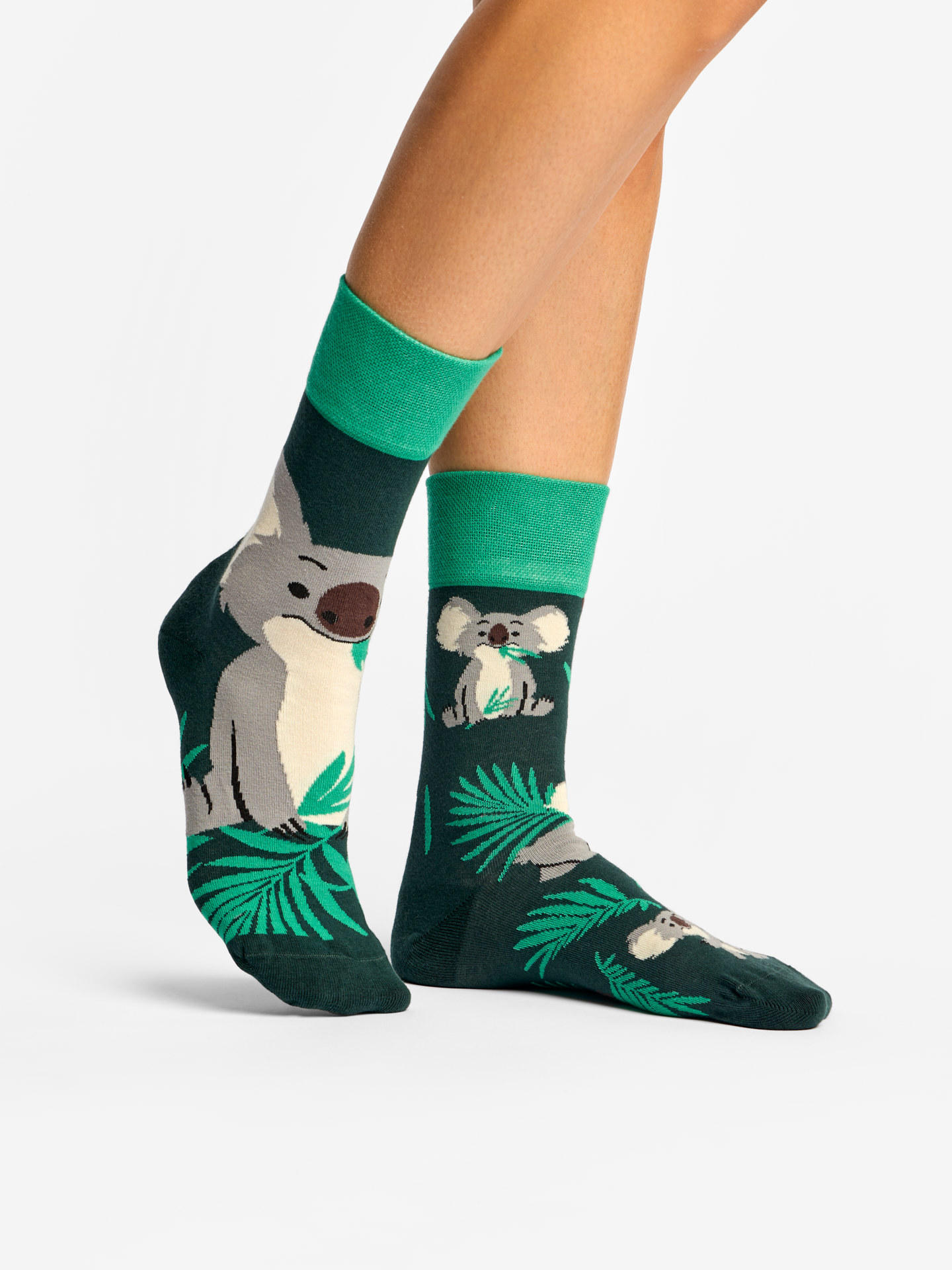 Regular Socks Koala & Leaves