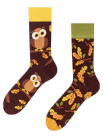 Regular Socks Curious Owl