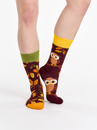 Regular Socks Curious Owl