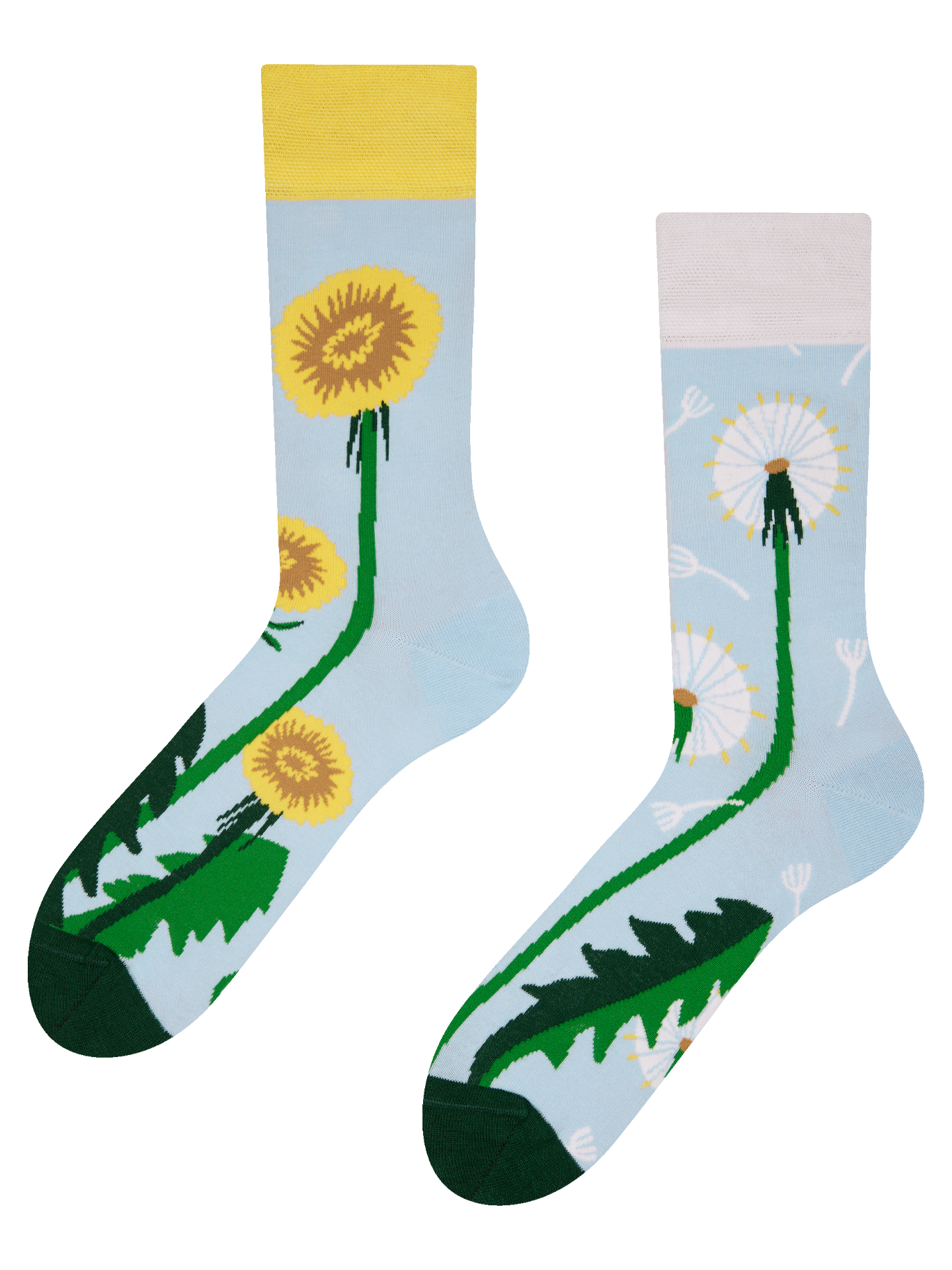 Regular Socks Dandelion Spring