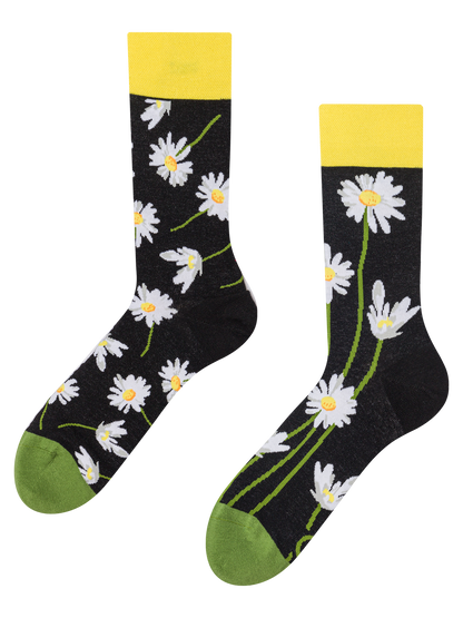 Regular Socks Daisies at Night