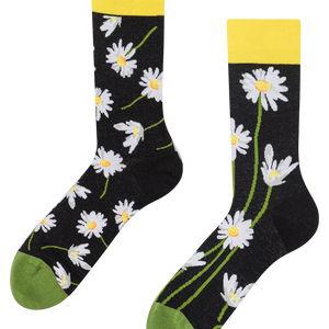 Regular Socks Daisies at Night