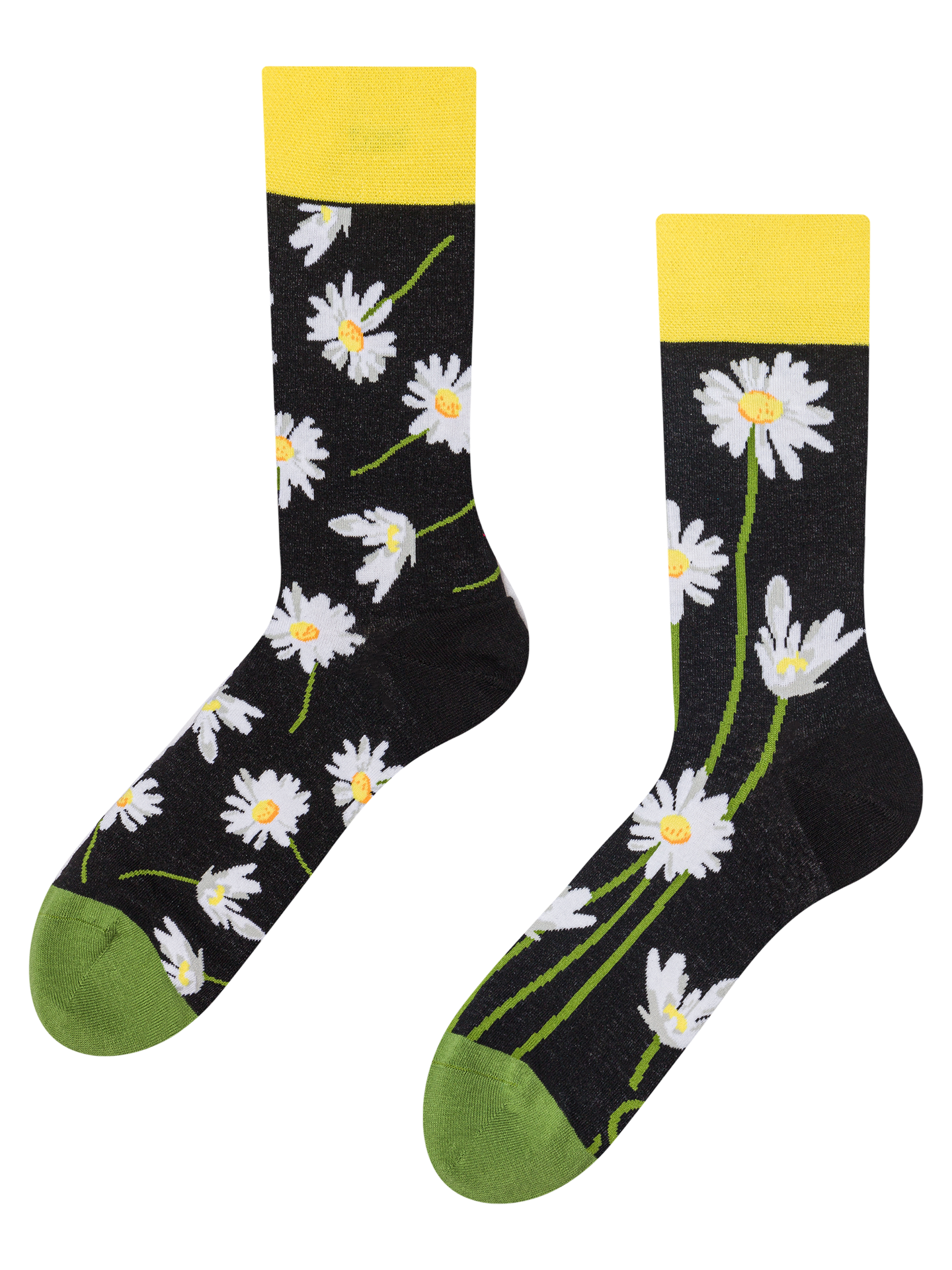 Regular Socks Daisies at Night