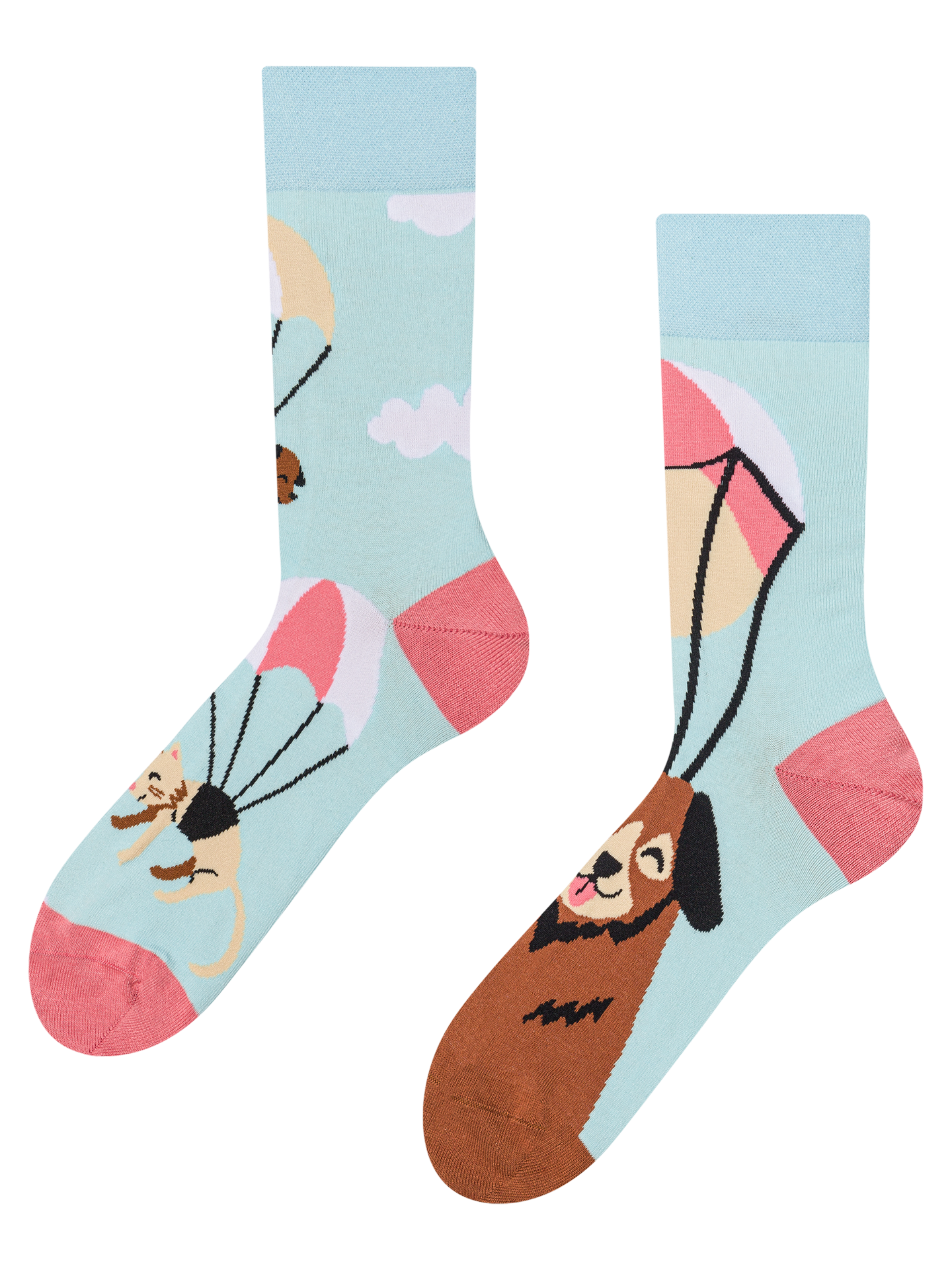 Regular Socks Flying Cats & Dogs