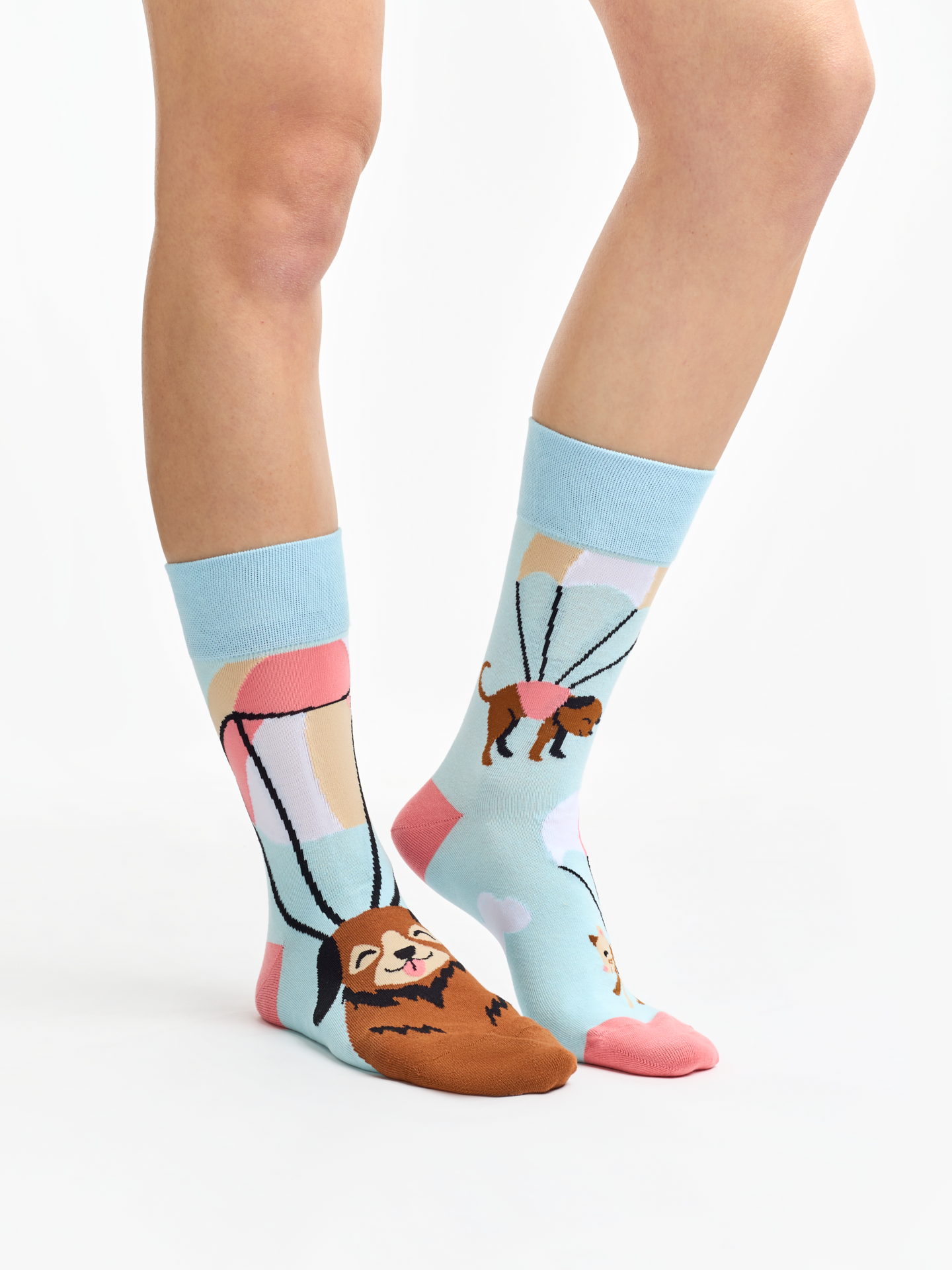 Regular Socks Flying Cats & Dogs