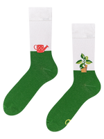 Regular Socks Plant & Watering Can