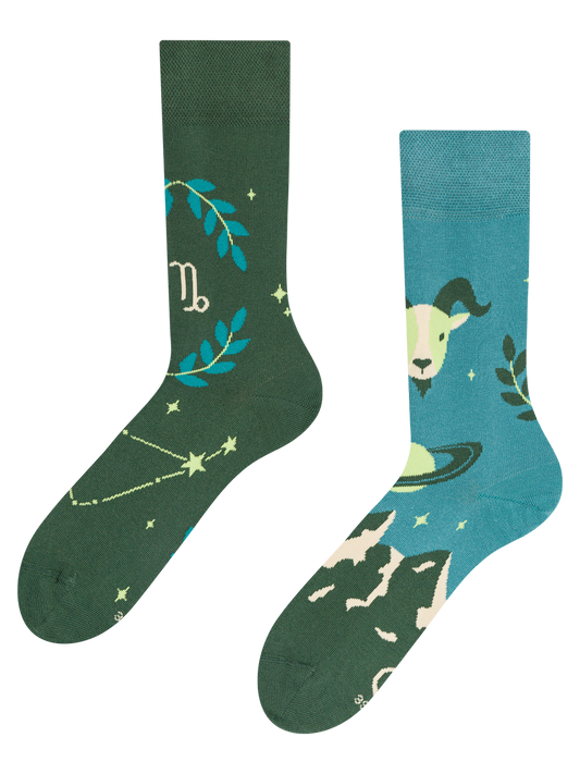 Regular Socks Zodiac Capricorn