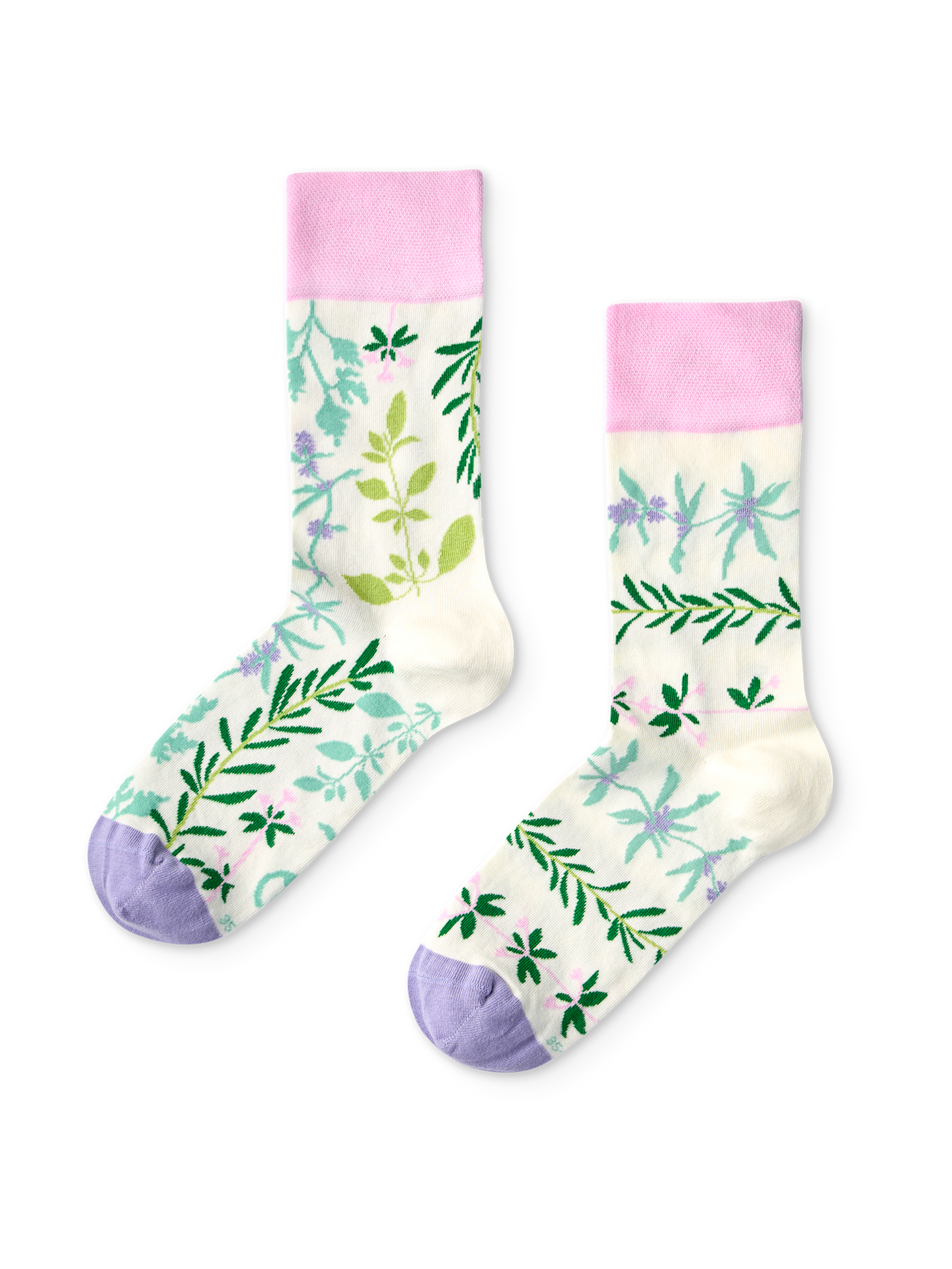 Regular Socks Garden Herbs