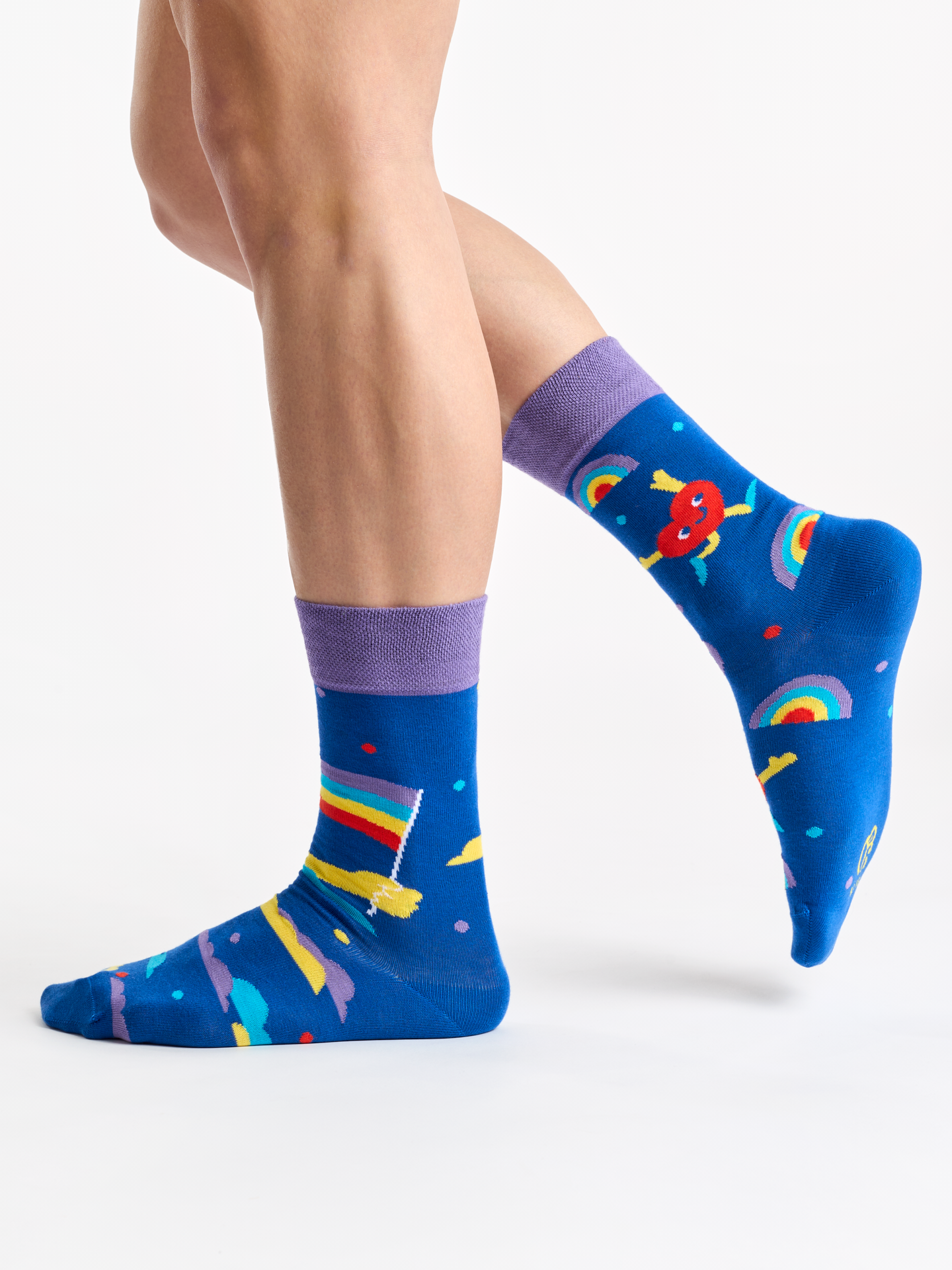 Regular Socks Pride Heart