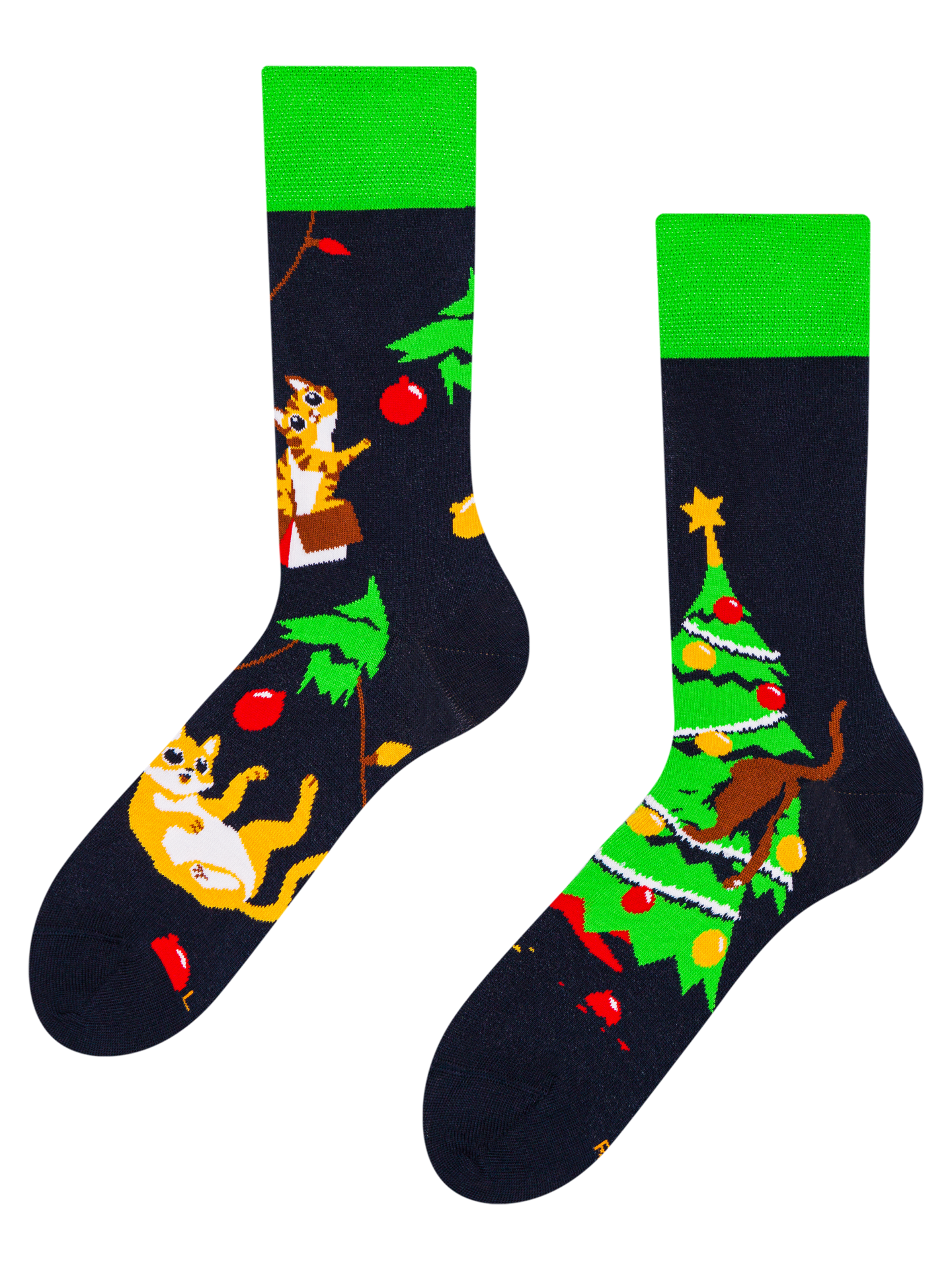 Regular Socks Cat Party