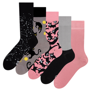 Regular Socks 5-Pack Pink Cats