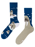 Warm Socks Walrus