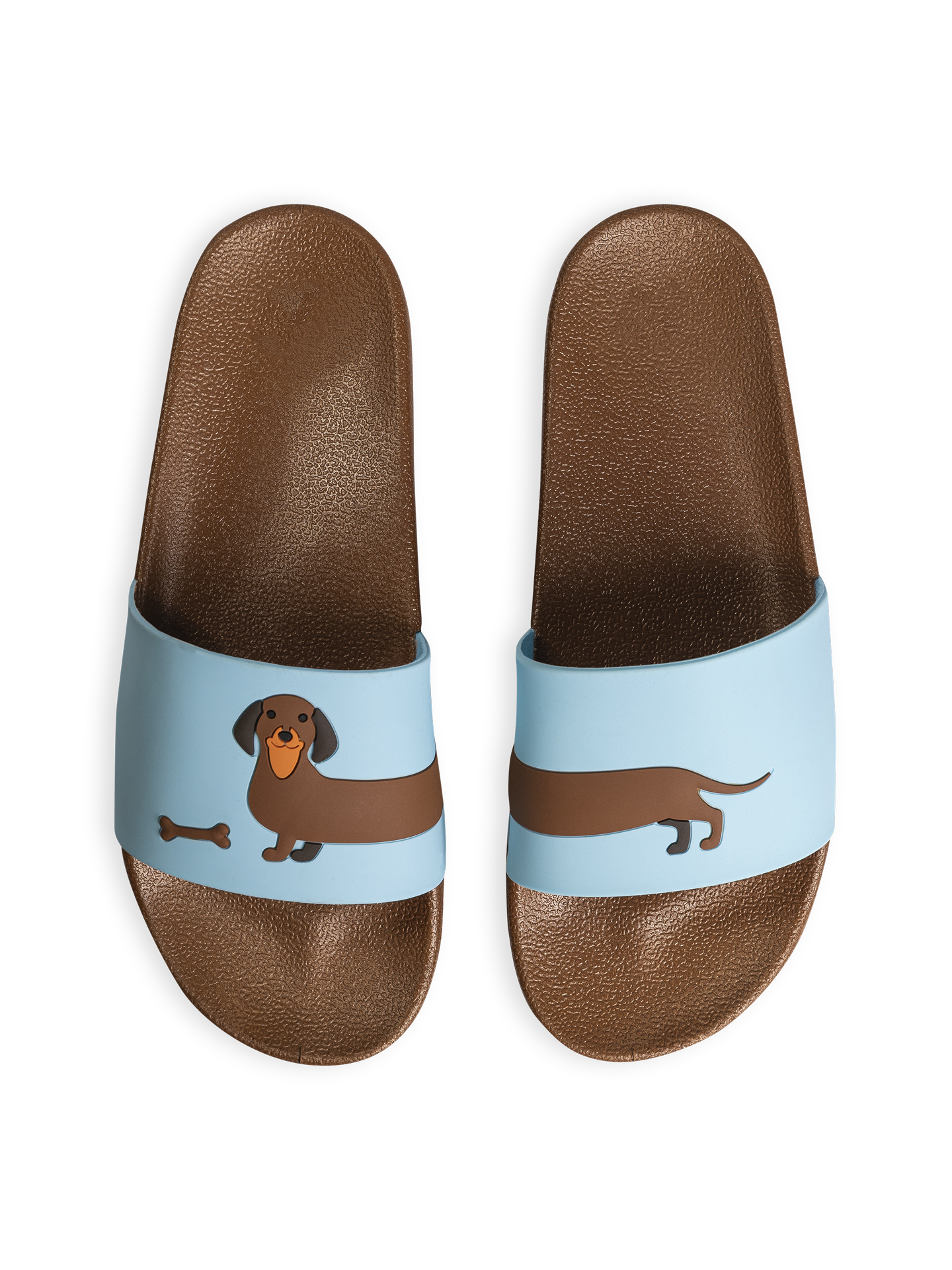 Slides Long Dachshund