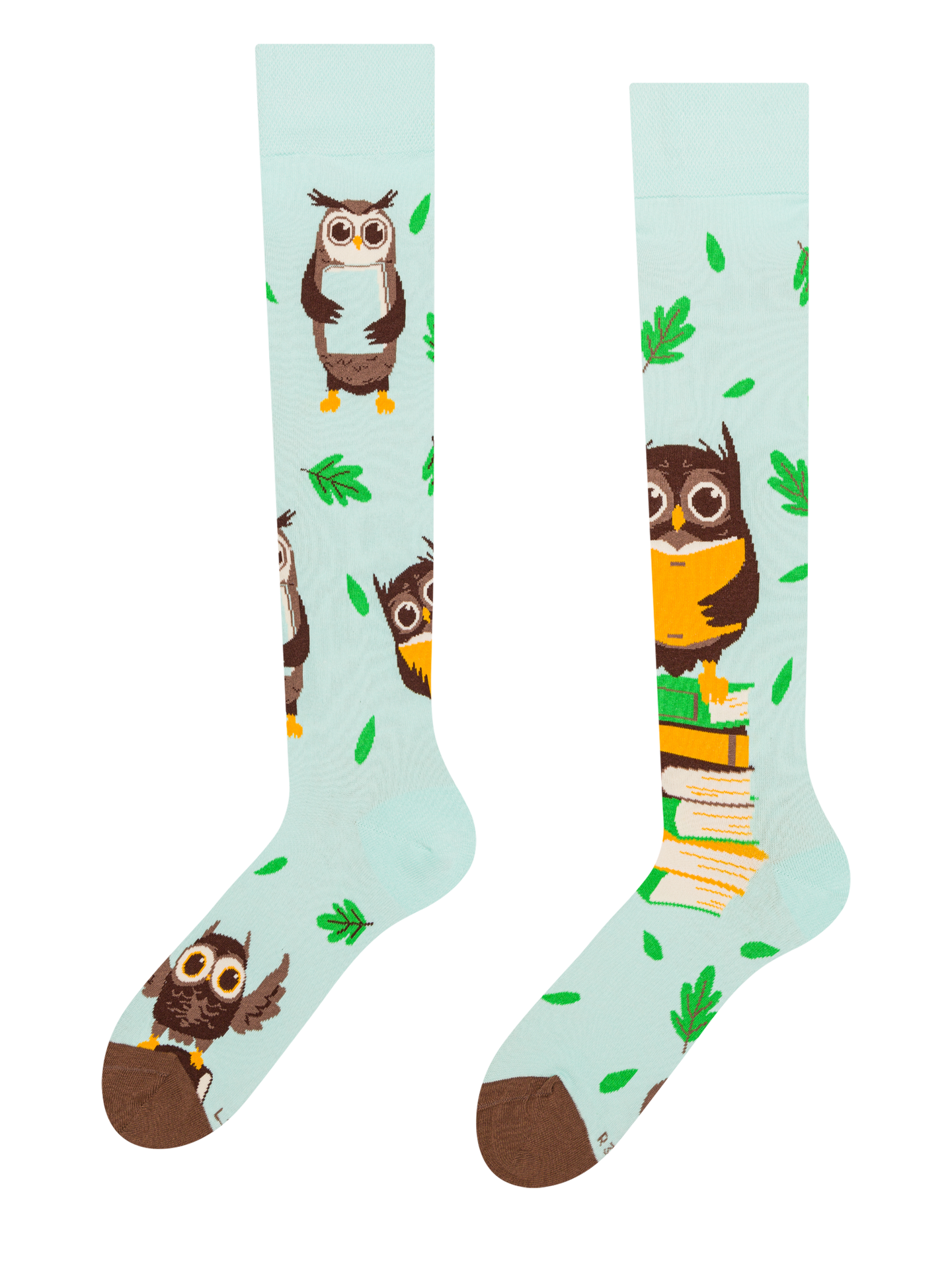 Knee High Socks Owl & Books