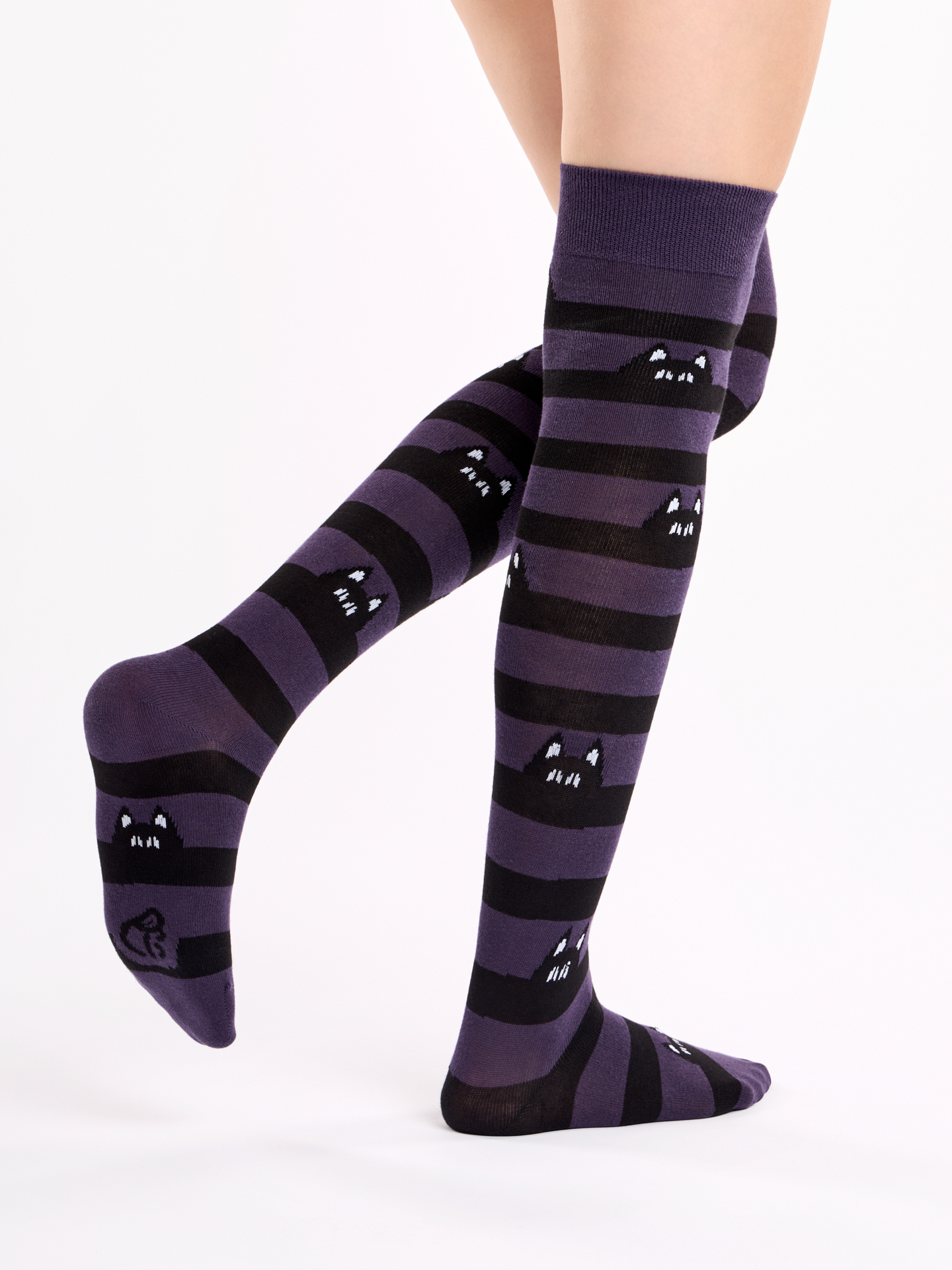 Over the Knee Socks Hidden Cats