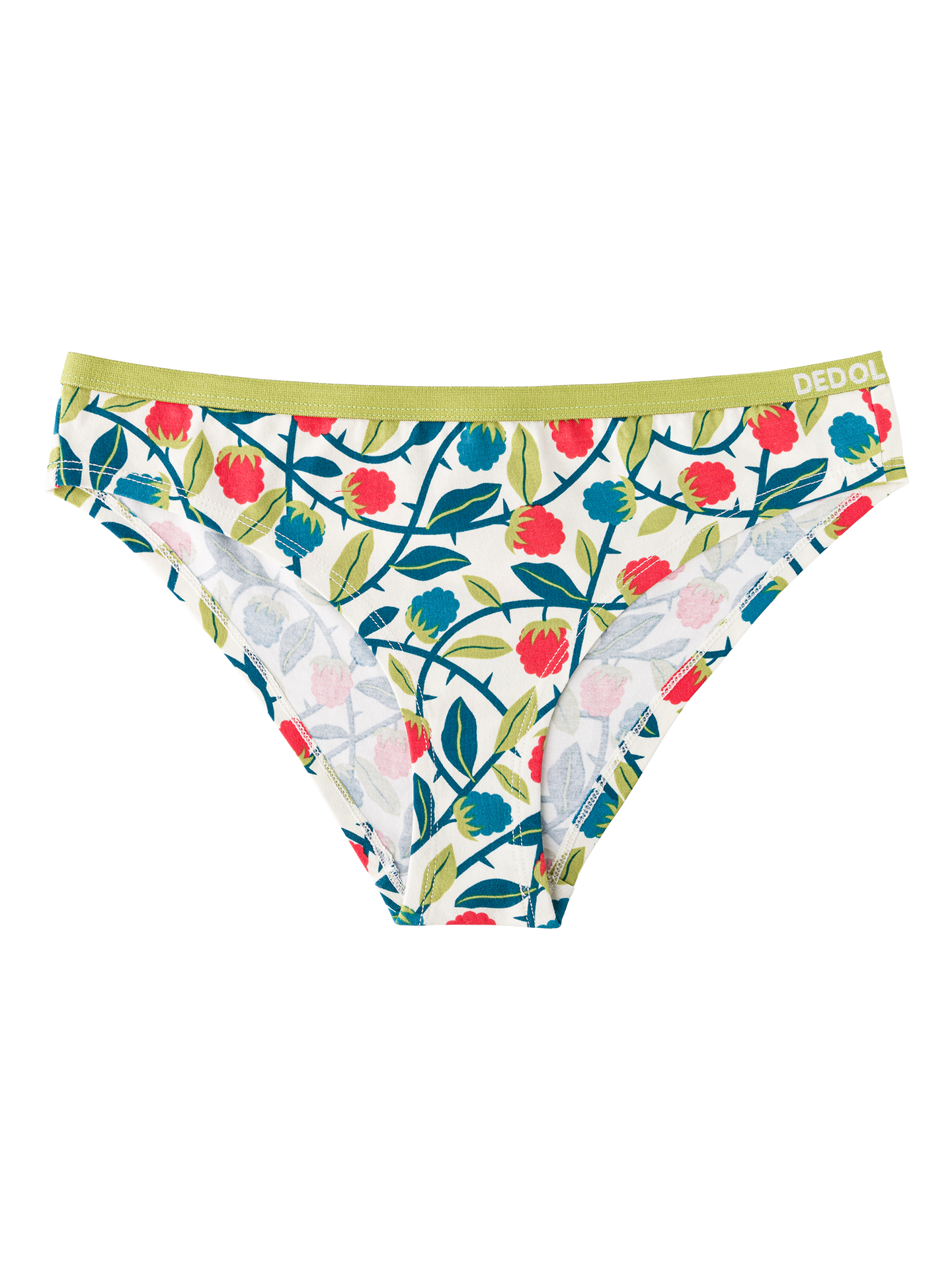 Women's Briefs Raspberries