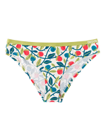 Women's Briefs Raspberries