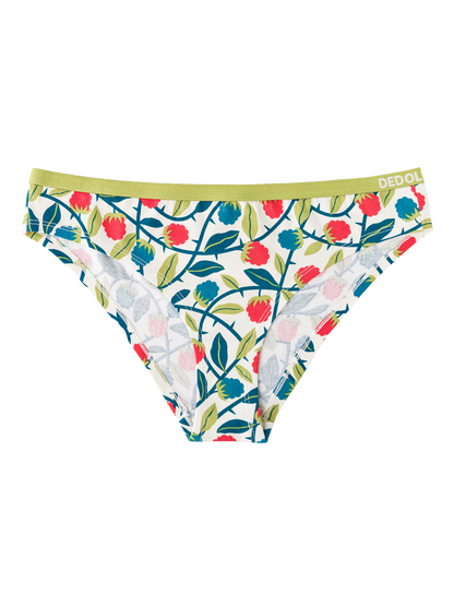 Women's Briefs Raspberries