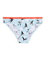 Women's Briefs Swallow Birds