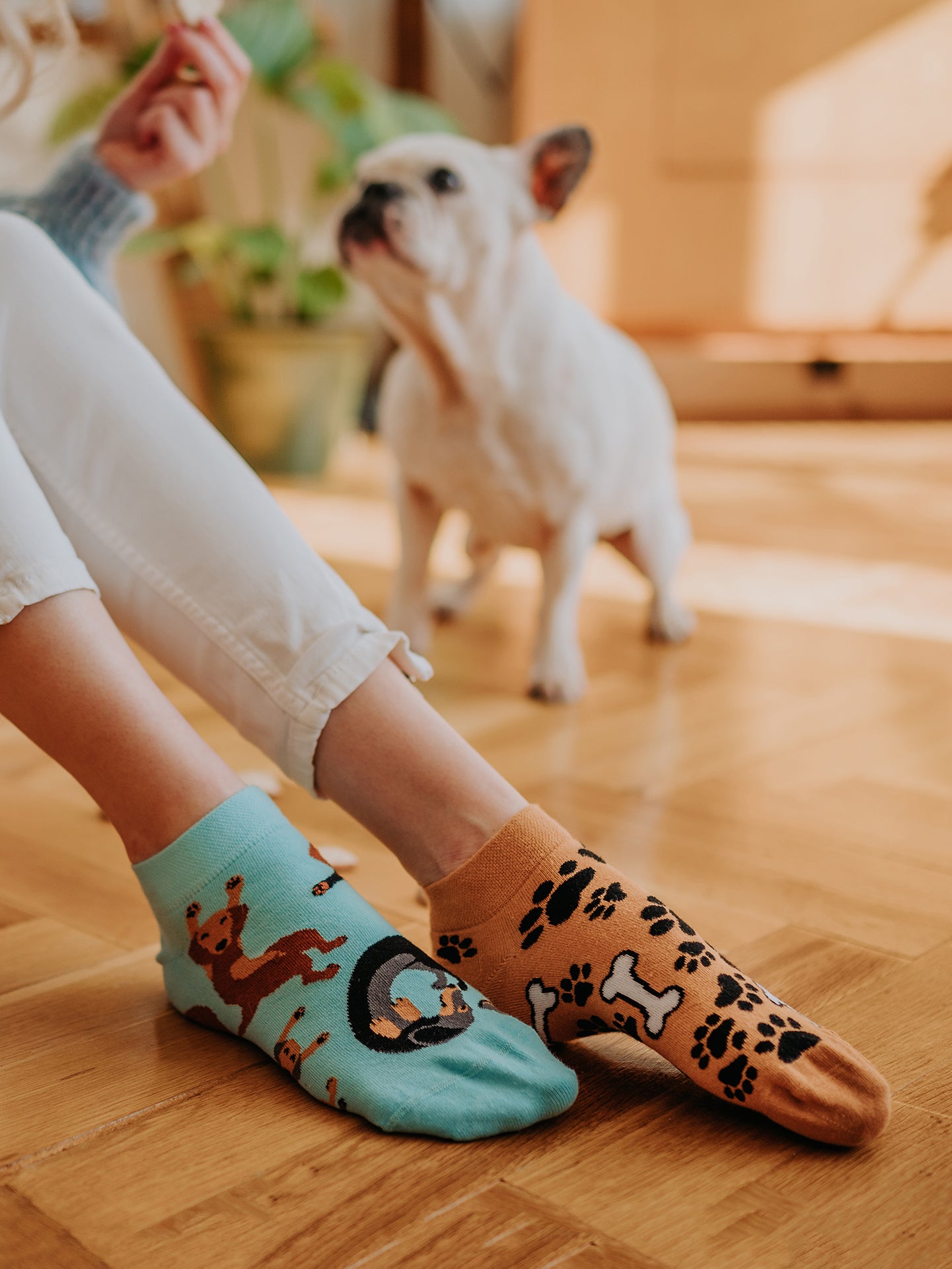 Ankle Socks Dachshund