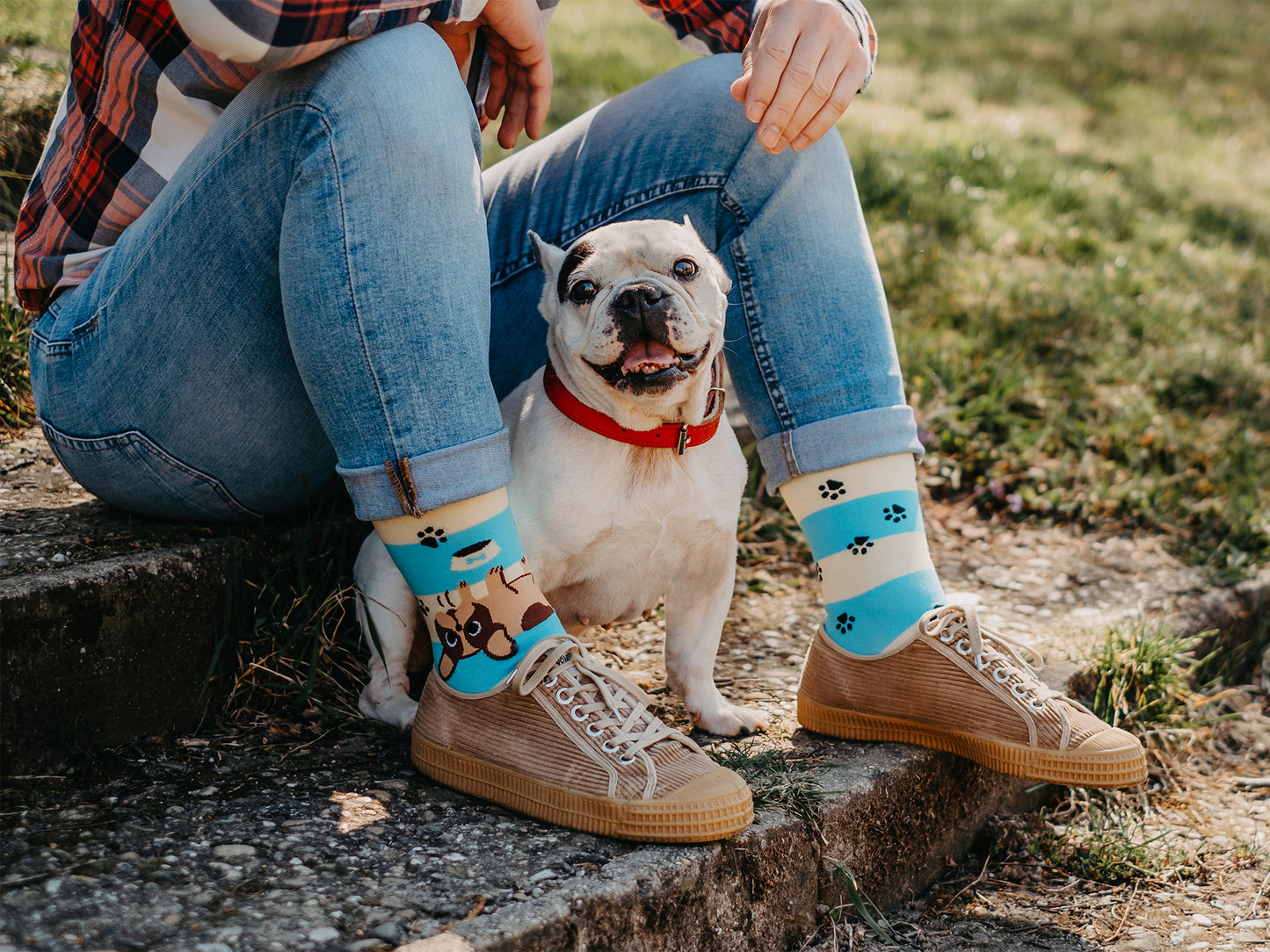 Regular Socks Dogs & Stripes