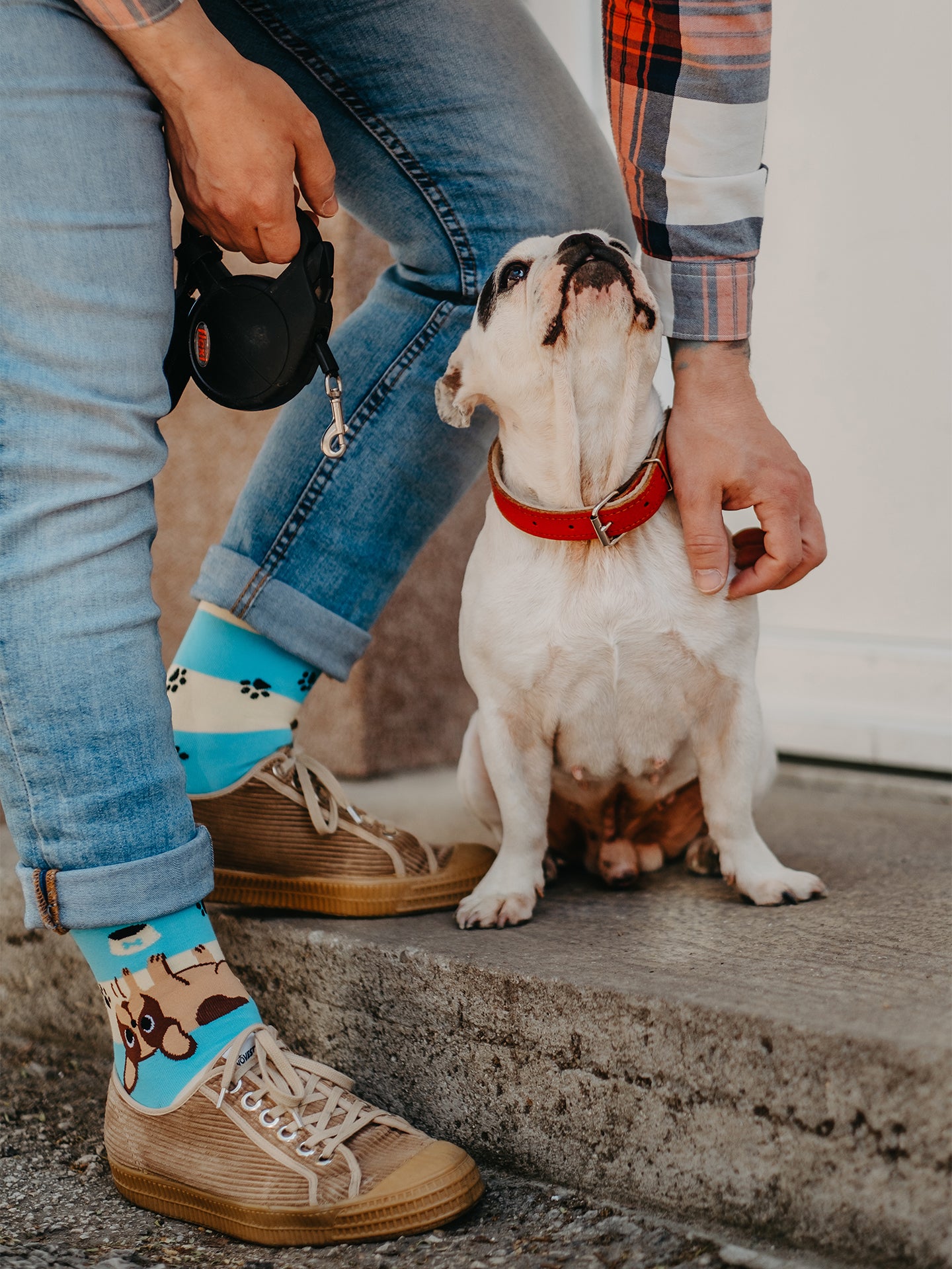 Regular Socks Dogs & Stripes