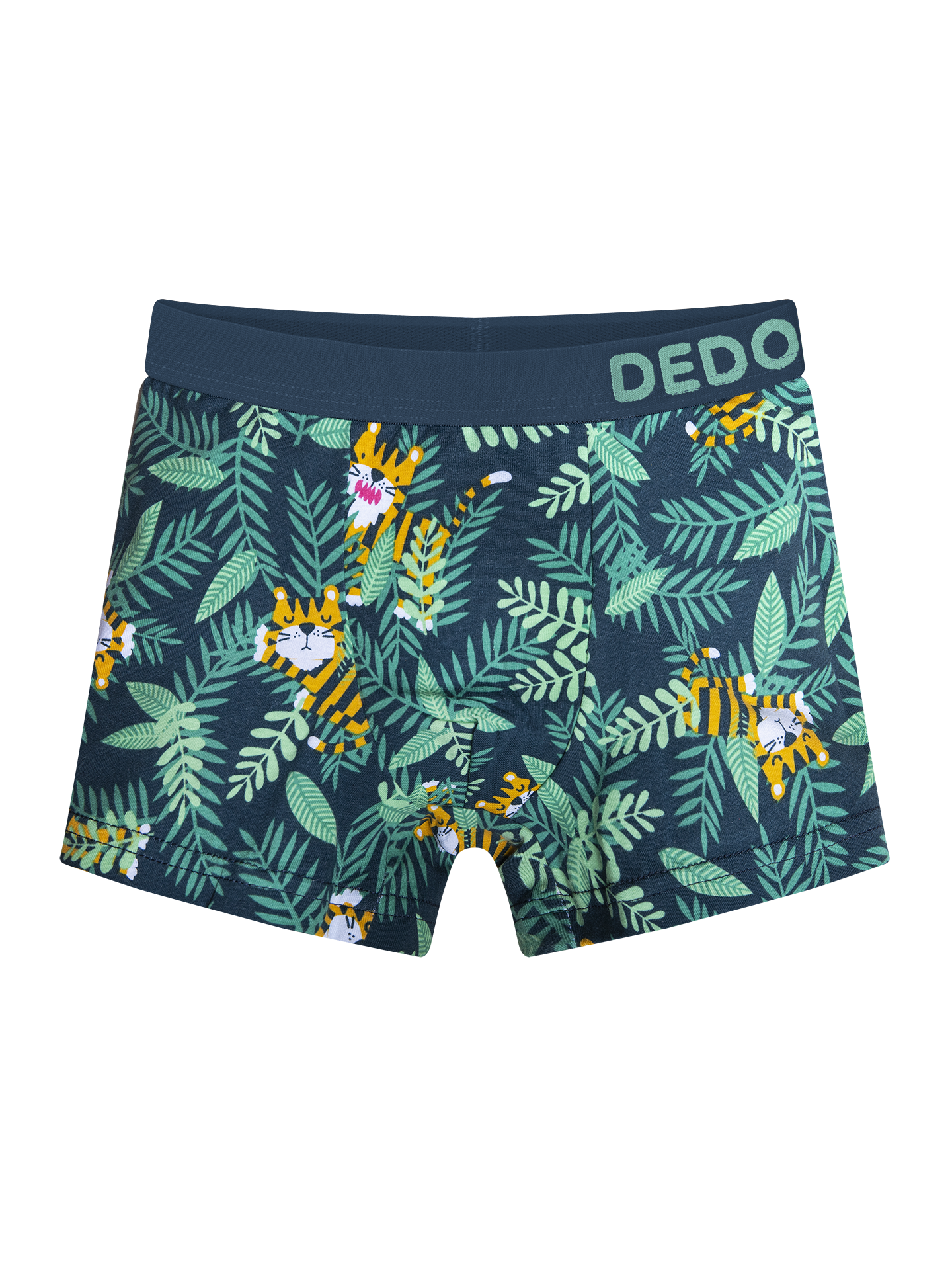 Boys' Boxers Tiger