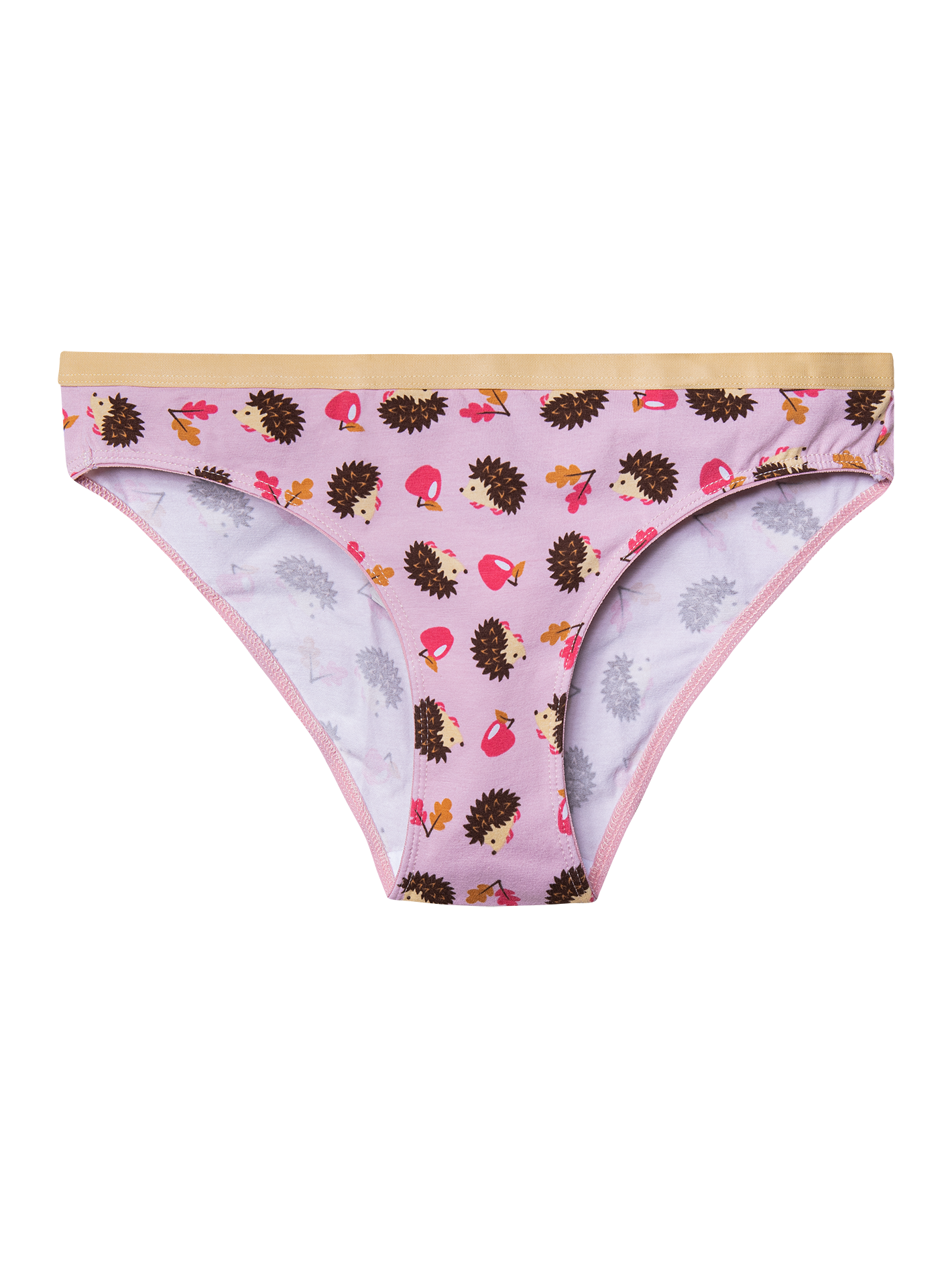 Women's Briefs Hedgehog