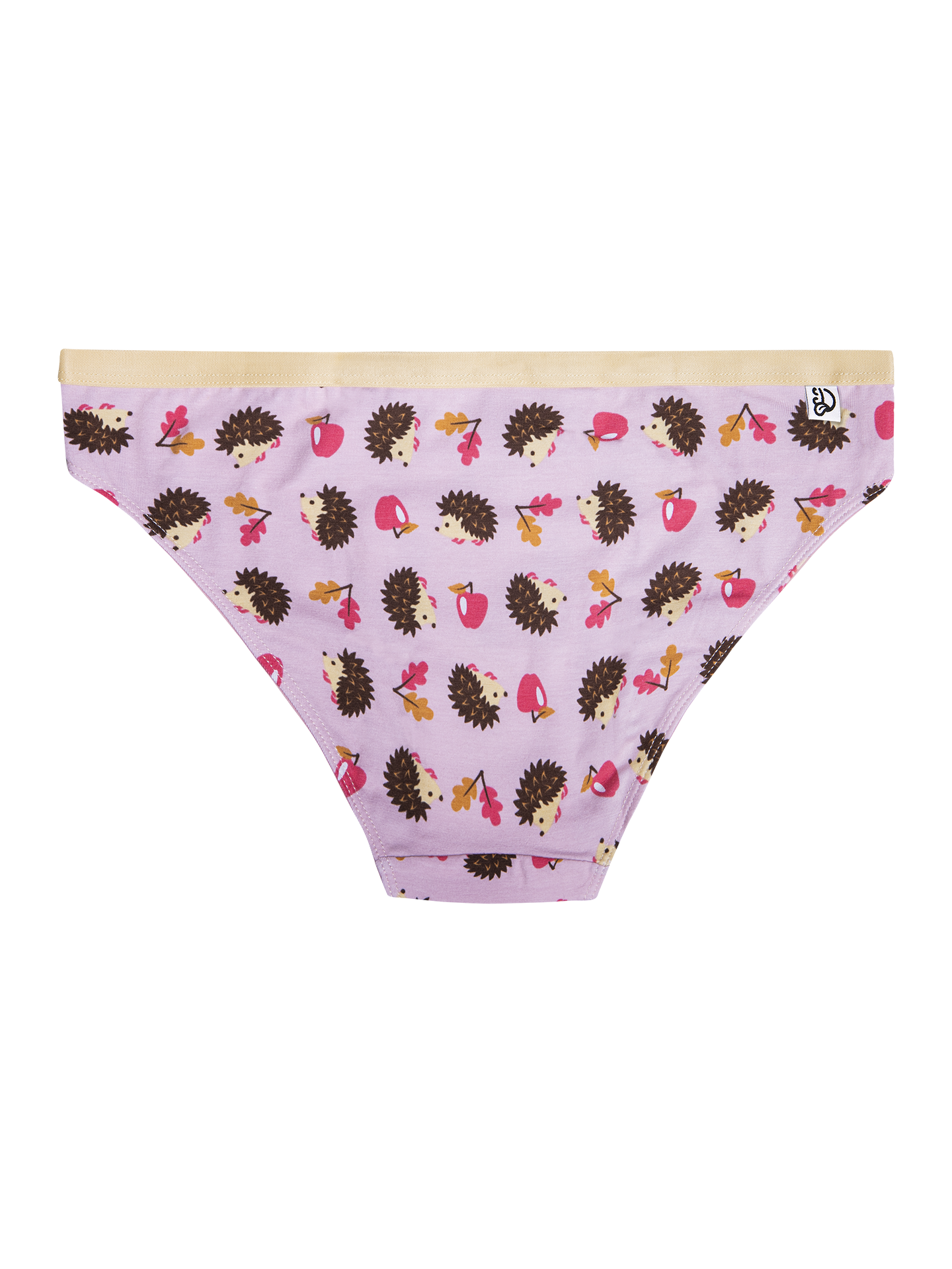 Women's Briefs Hedgehog