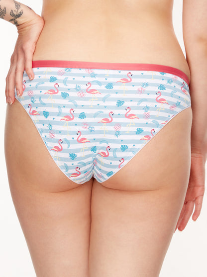 Women's Briefs Love Flamingos