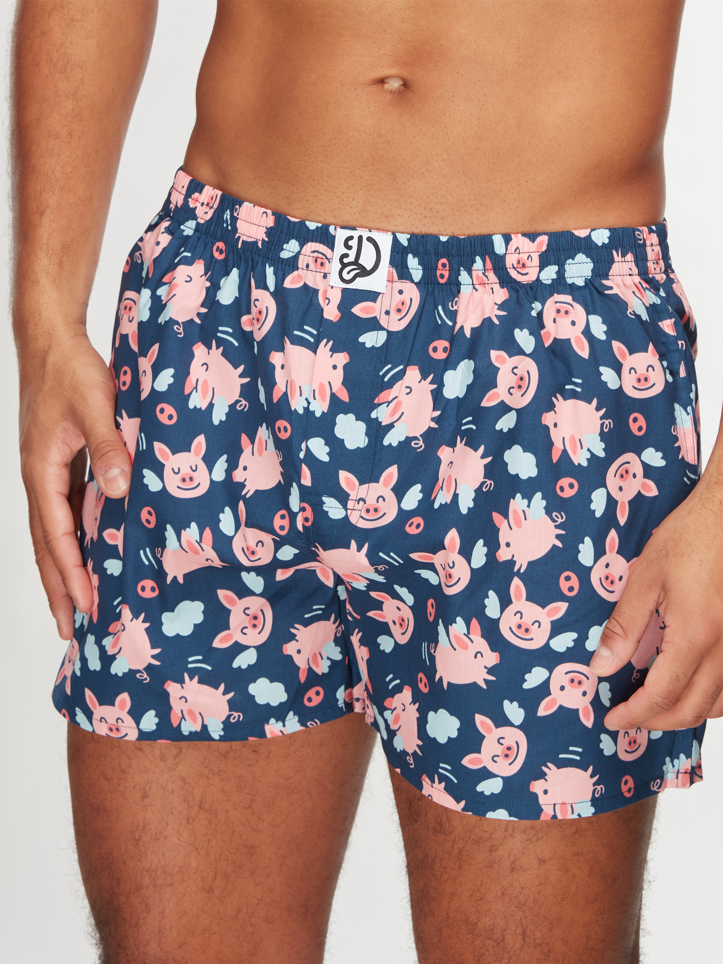 Men's Boxer Shorts Flying Pigs