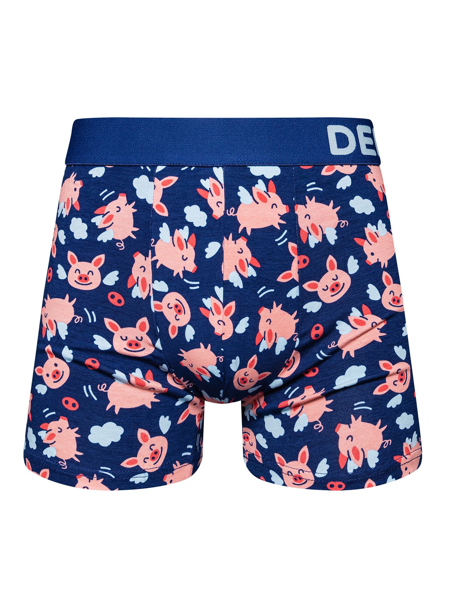 Men's Trunks Flying Pigs OKT